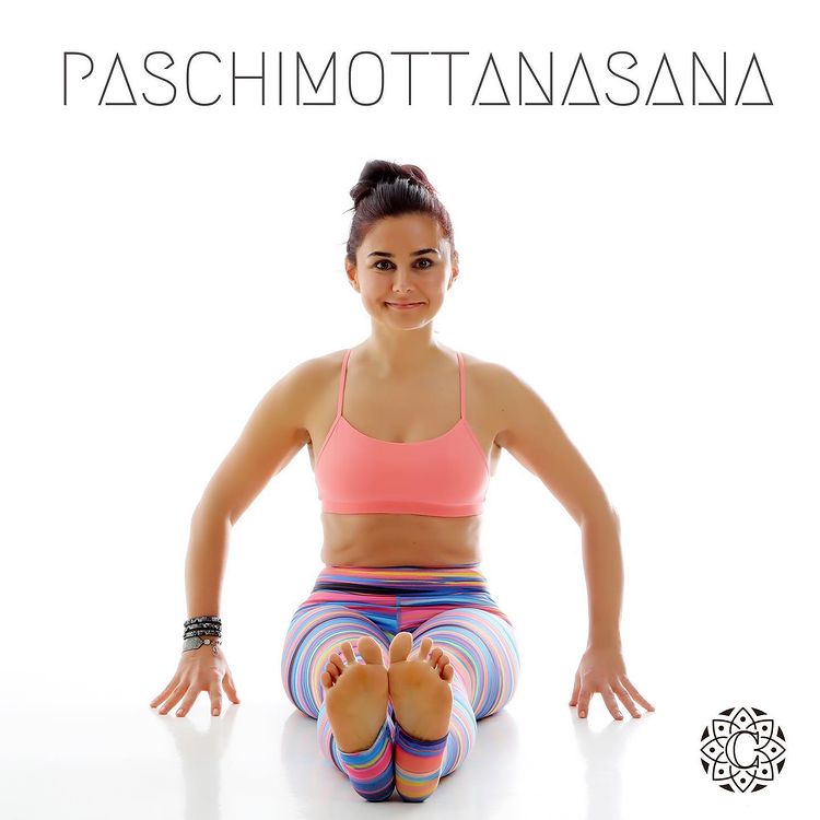 Yoga feet. Detail from Paschimottanasana or seated forward bend yoga pose  Stock Photo | Adobe Stock